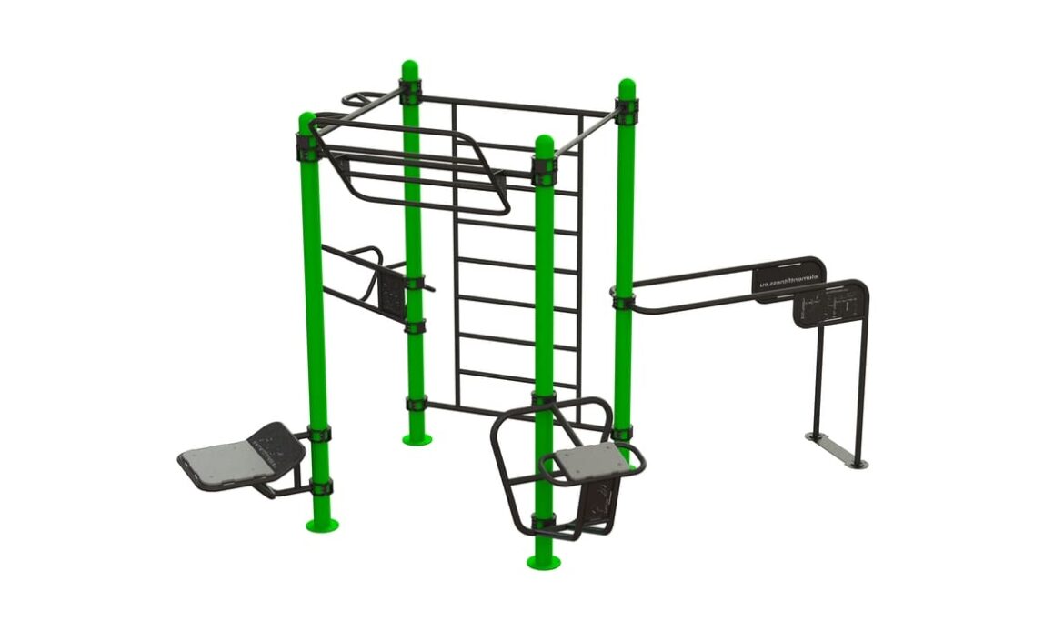 FITNESS RIG 3850-01